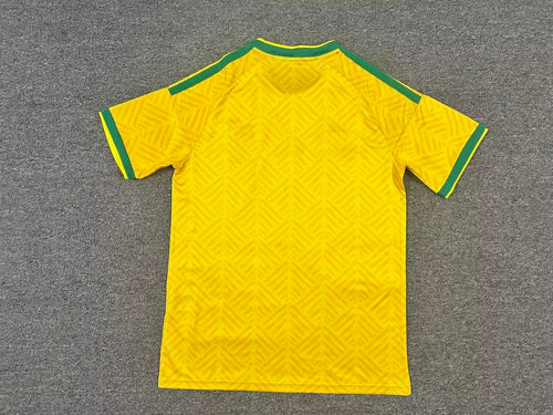 Maillot Domicile Afrique du Sud 2026